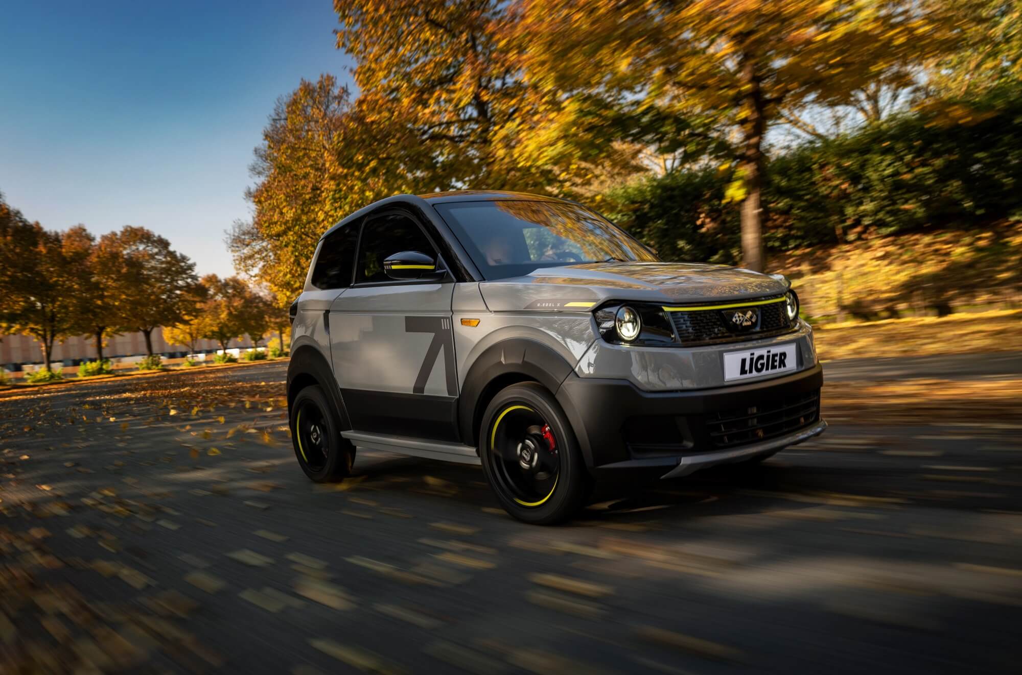 Was Sie über 45-km/h-Elektroautos wissen müssen